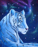 tigre
